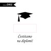 Whisky Jack Daniel's 1L - DIPLOME - Image 4